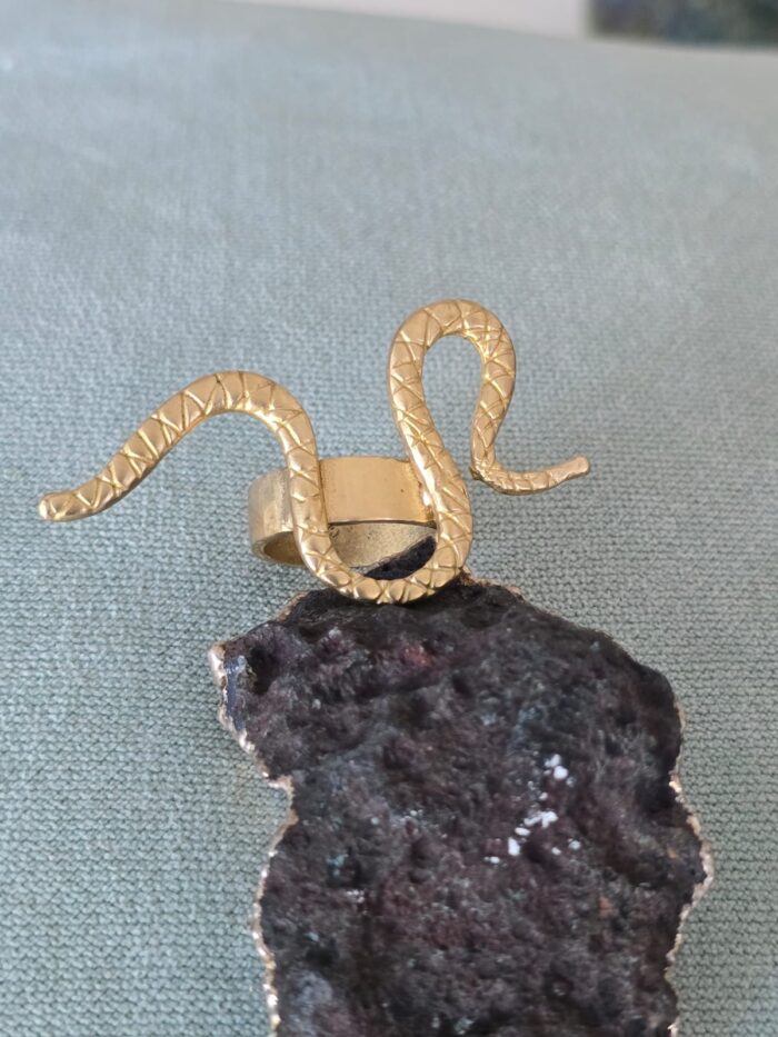 Anillo Vicha