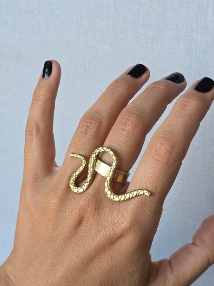 Anillo Vicha - Imagen 3