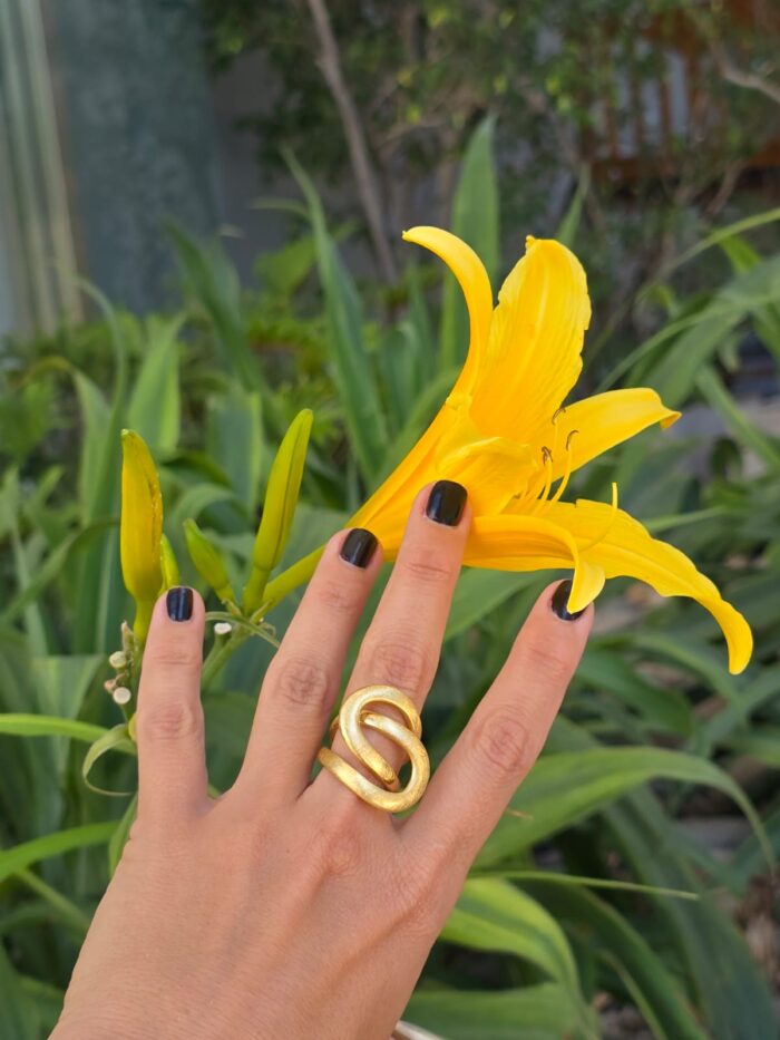 Anillo Juli - Imagen 4