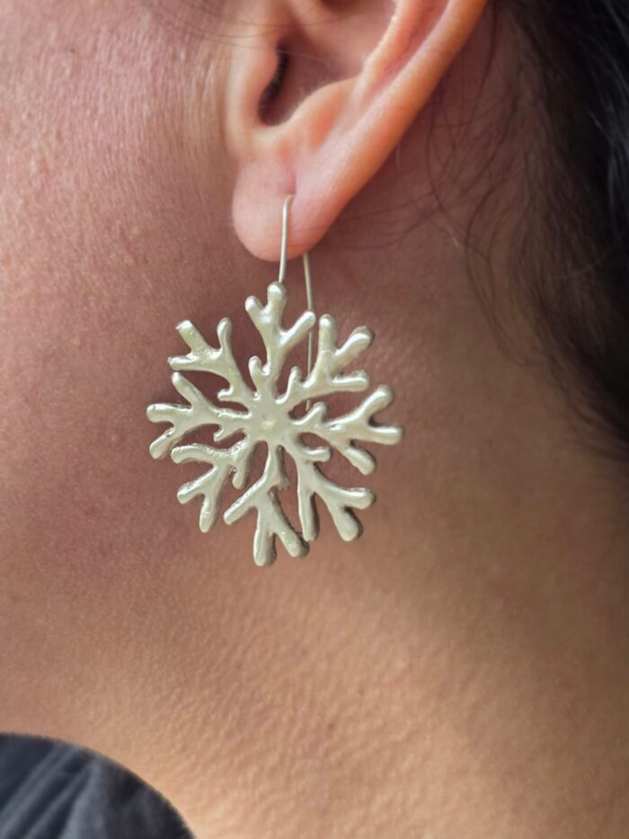 Aros Pame - Imagen 4
